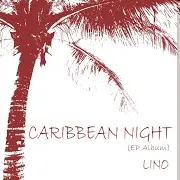 Caribbean Night (Feat. Dahn Lee)
